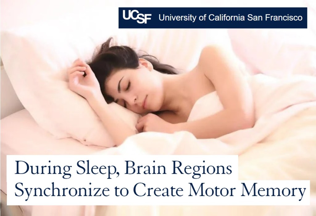 זיכרון מוטורי והקשר&nbsp;לשינה