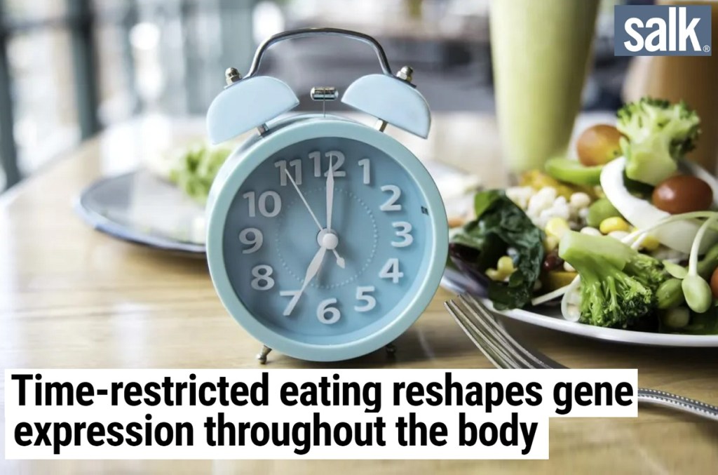 צום לסירוגין עשוי לשנות את אופן ביטוי ה-DNA בגוף&nbsp;שלנו