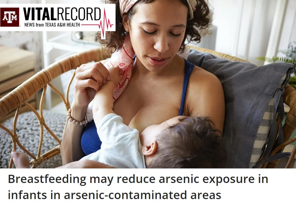 הנקה עשויה להפחית את החשיפה של תינוקות לארסן באזורים ברמה&nbsp;גבוהה