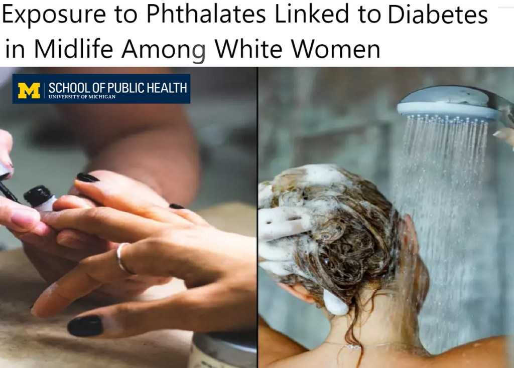 חשיפת נשים לבנות לפתלטים נקשרה עם&nbsp;סוכרת