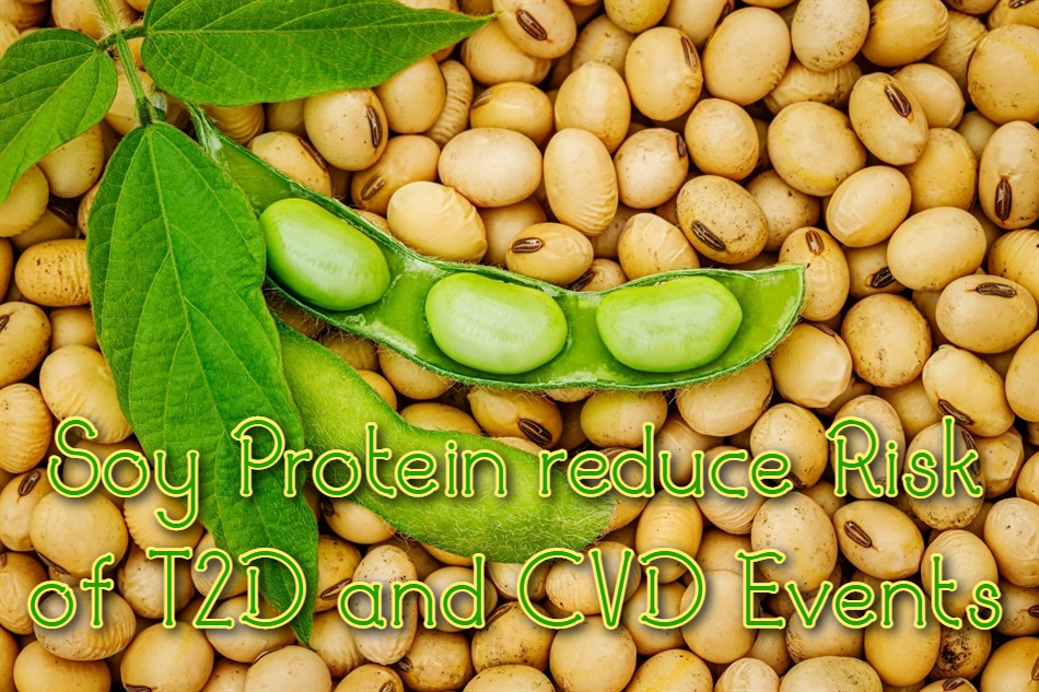הקשר בין פולי סויה/טופו/נאטו למחלות לב וכלי דם וסוכרת סוג&nbsp;2