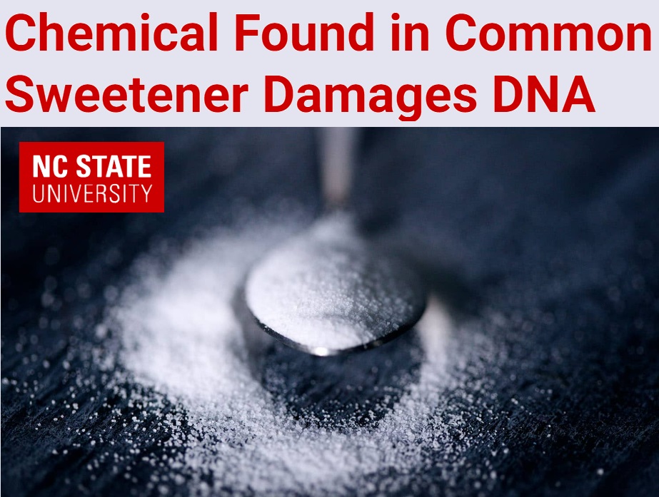 כימיקל הנמצא בממתיק המלאכותי סוכרלוז הוא&nbsp;גנוטוקסי