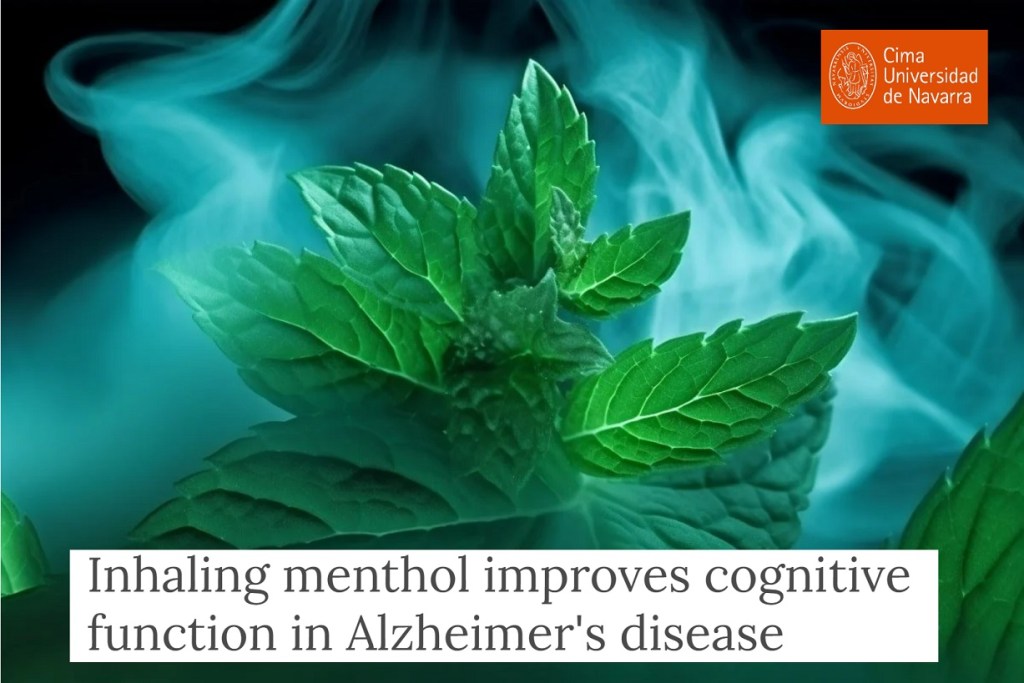 הרחת מנטול משפרת את התפקוד הקוגניטיבי במחלת&nbsp;אלצהיימר