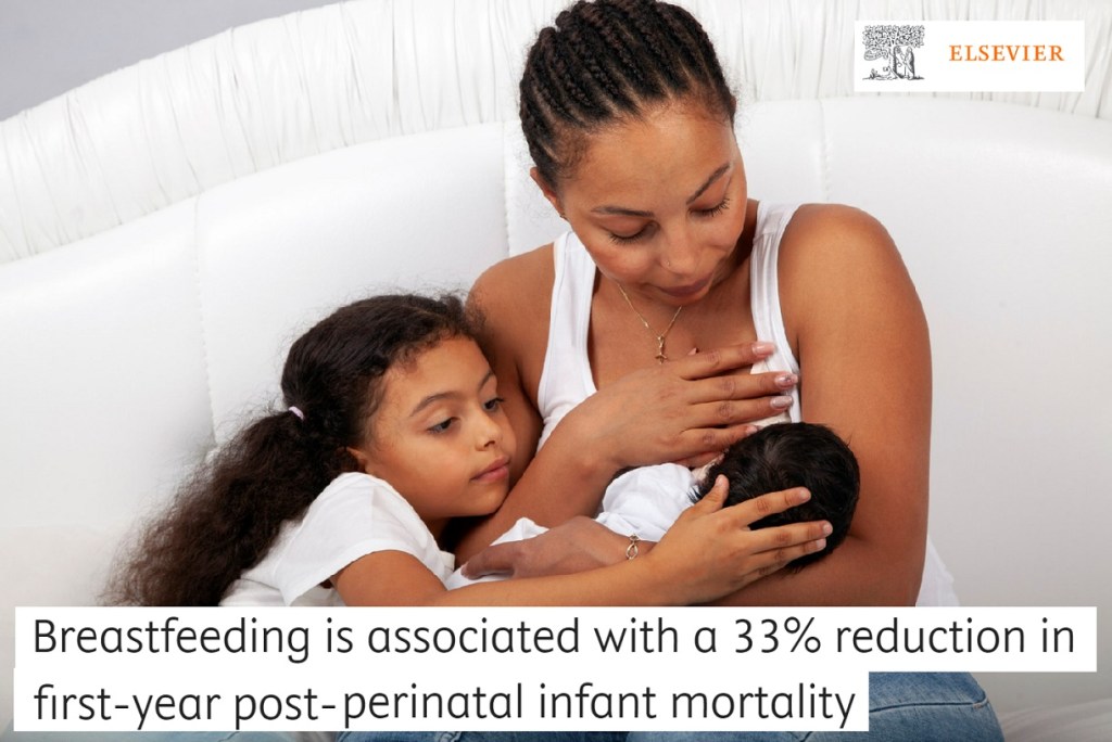 הנקה מורידה את הסיכון לתמותת תינוקות בשנה הראשונה לאחר לידה&nbsp;ב-33%