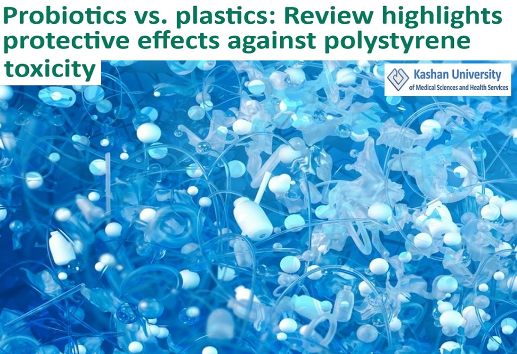 האם חיידקי מעי ופרוביוטיקה יכולים להיות הפתרון לרעילות הנגרמת מפלסטיק ורכיבים נלווים