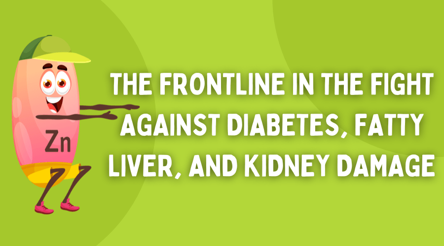 אבץ: חזית המאבק בסוכרת, כבד שומני ונזק&nbsp;כלייתי