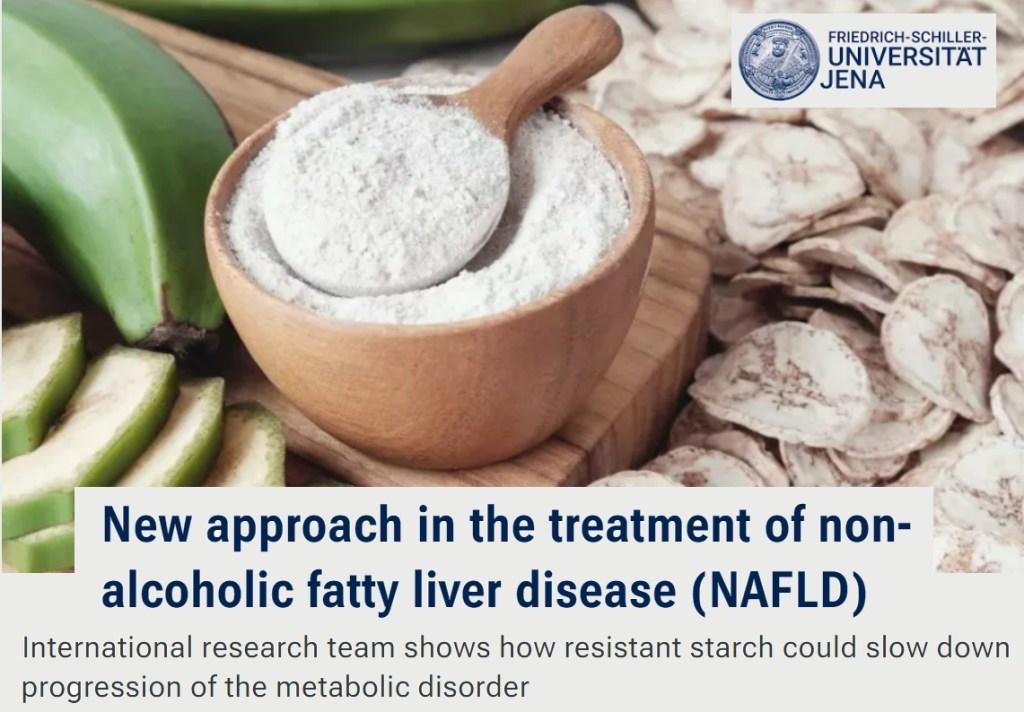 גישה חדשה לטיפול בכבד שומני לא אלכוהולי (NAFLD) – עמילנים&nbsp;עמידים
