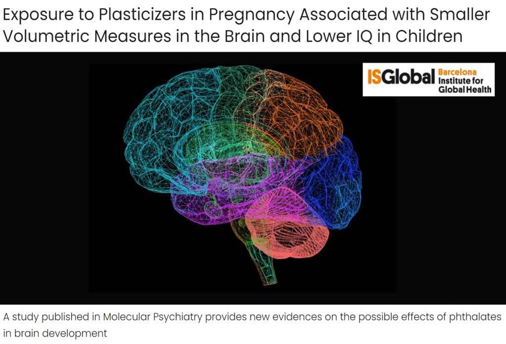 חשיפה לפתלטים בהריון קשורה למדדים נפחיים קטנים יותר במוח ו-IQ נמוך יותר&nbsp;בילדים