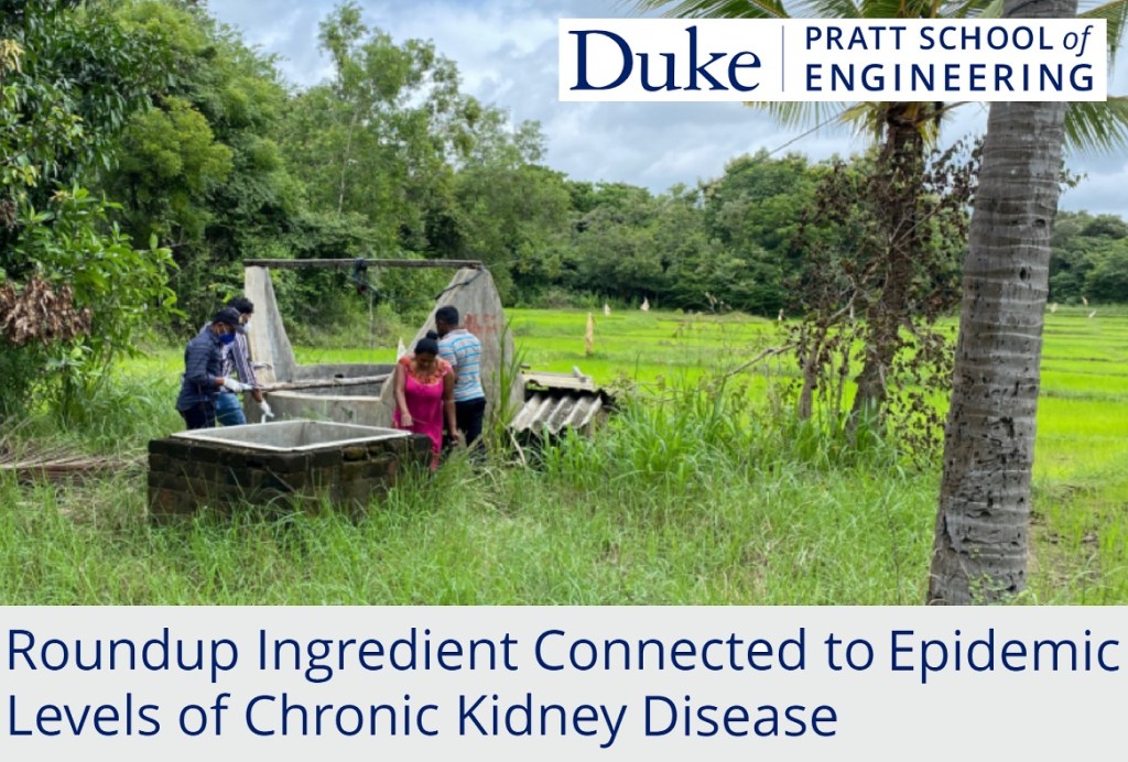 גלייפוסט נקשר למחלות כרוניות של&nbsp;הכליות