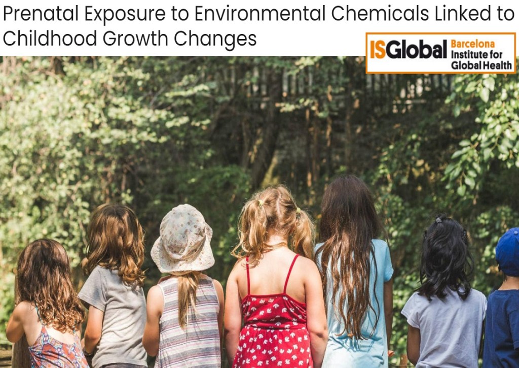 חשיפה טרום לידתית לכימיקלים סביבתיים קשורה להפרעות&nbsp;מטבוליות