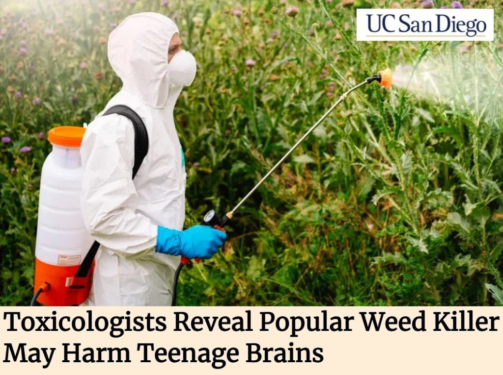 קוטלי עשבים נפוצים נמצאו מזיקים לתפקוד המוח של&nbsp;מתבגרים