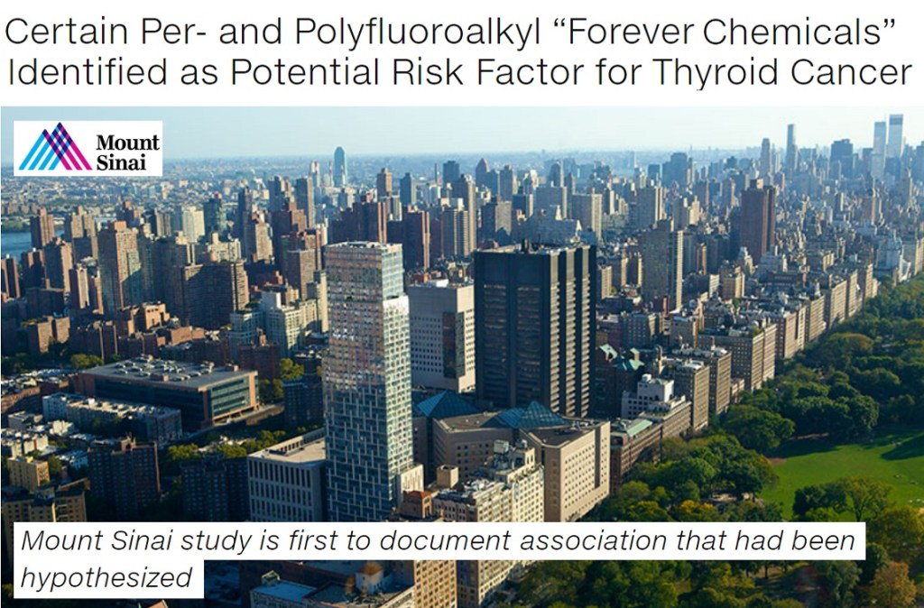 PFAS מסוימים נקשרו לסרטן&nbsp;התירואיד