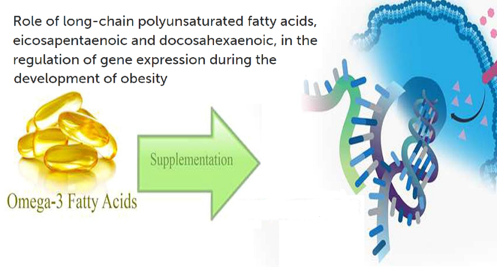חומצות שומן אומגה 3 יכולות לווסת גנים הקשורים&nbsp;להשמנה