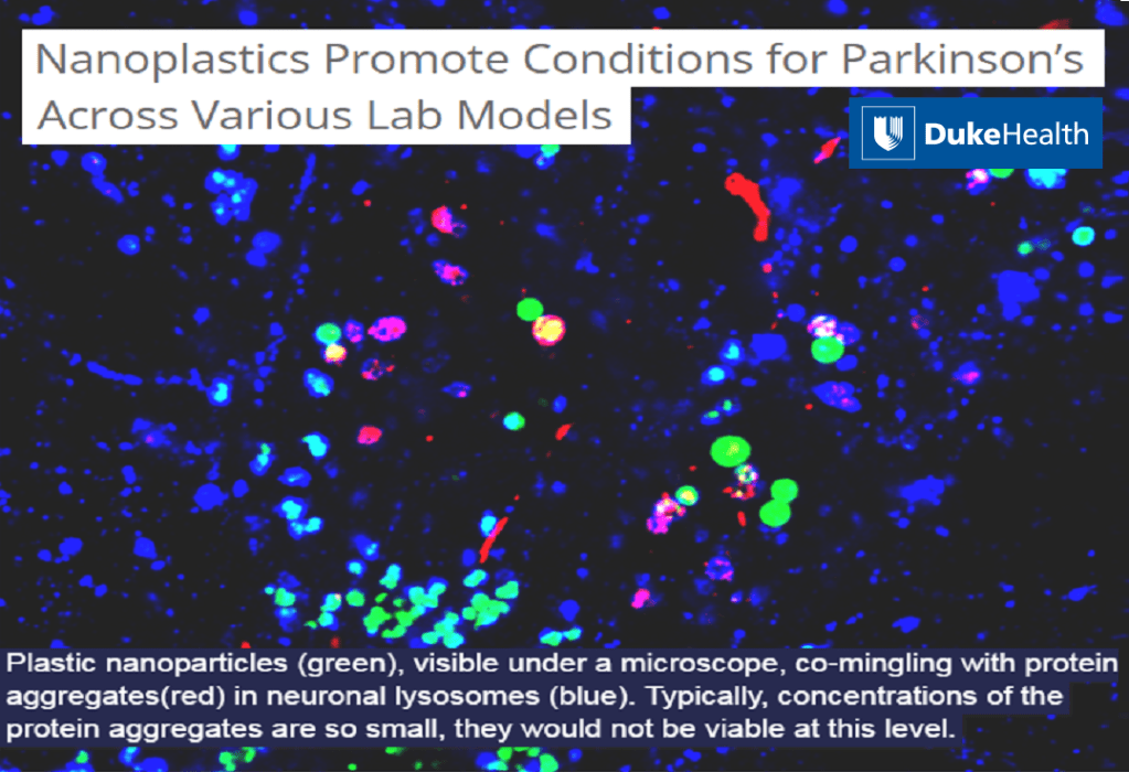 ננו-פלסטיק, שיבוש מיטוכונדריה והשלכות על בריאות&nbsp;המוח