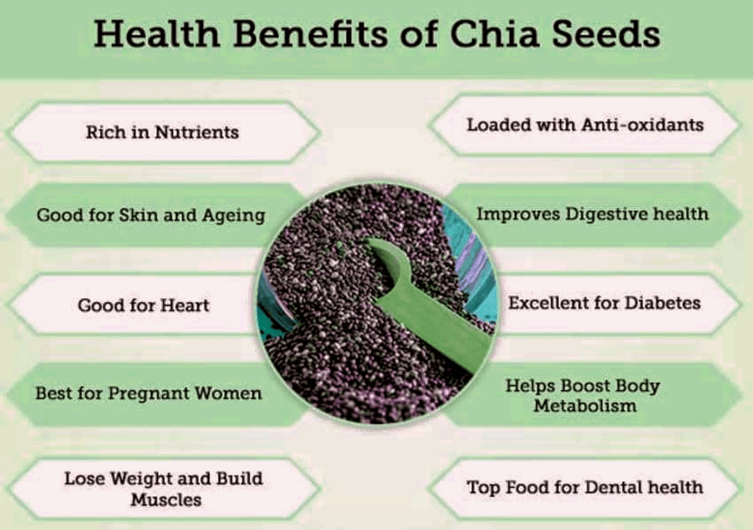 צ'יה – רכיבים והשפעות&nbsp;בריאותיות