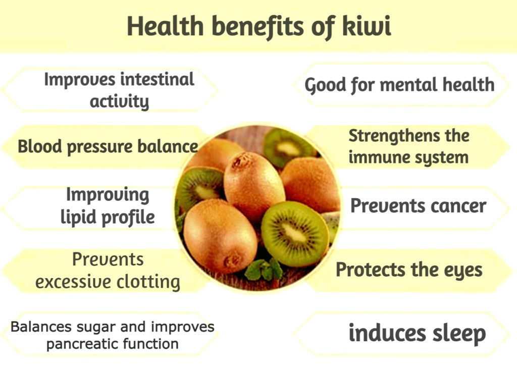 קיווי הוכיח את עצמו כמחזק מצב רוח רב עוצמה ומניעת מחלות&nbsp;רבות