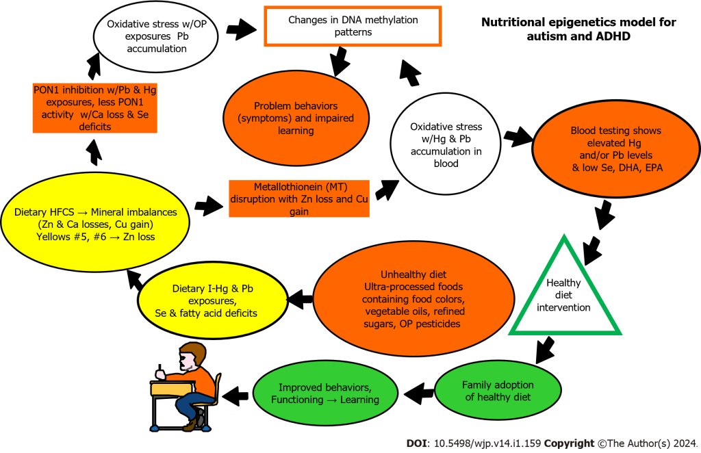 חינוך לאפיגנטיקה תזונתית