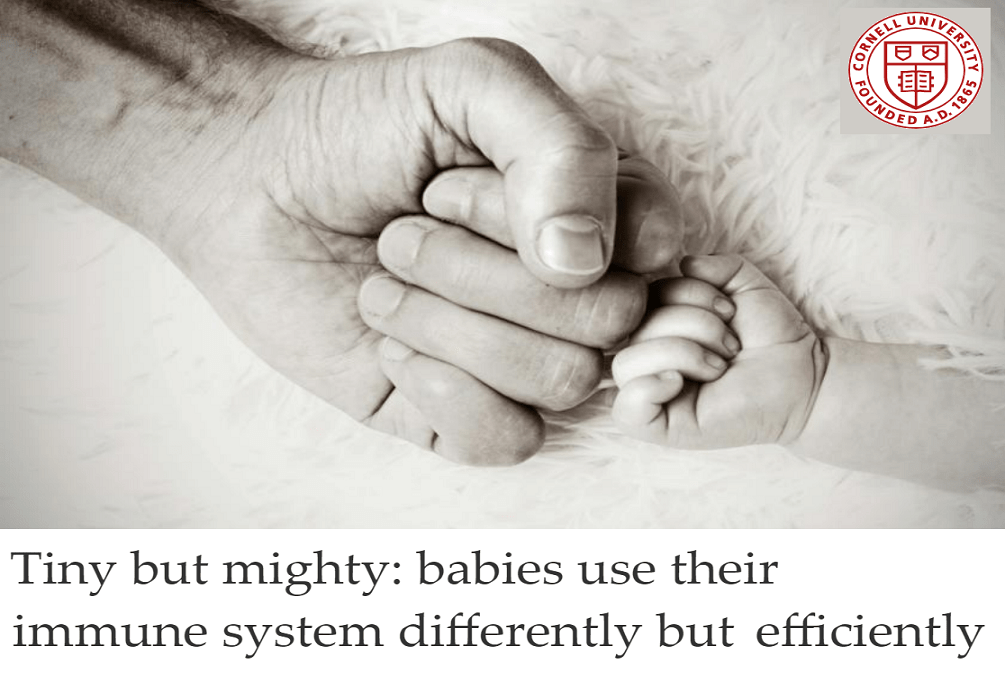 תינוקות משתמשים במערכת החיסון שלהם בצורה שונה אך יעילה מאוד