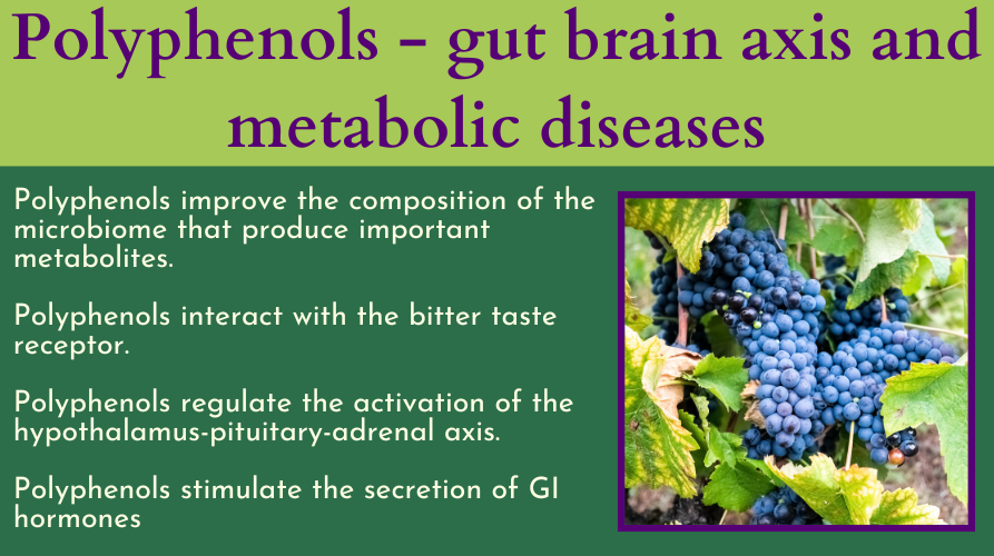 פוליפנולים – ציר מעי מוח ומחלות קרדיו&nbsp;מטבוליות