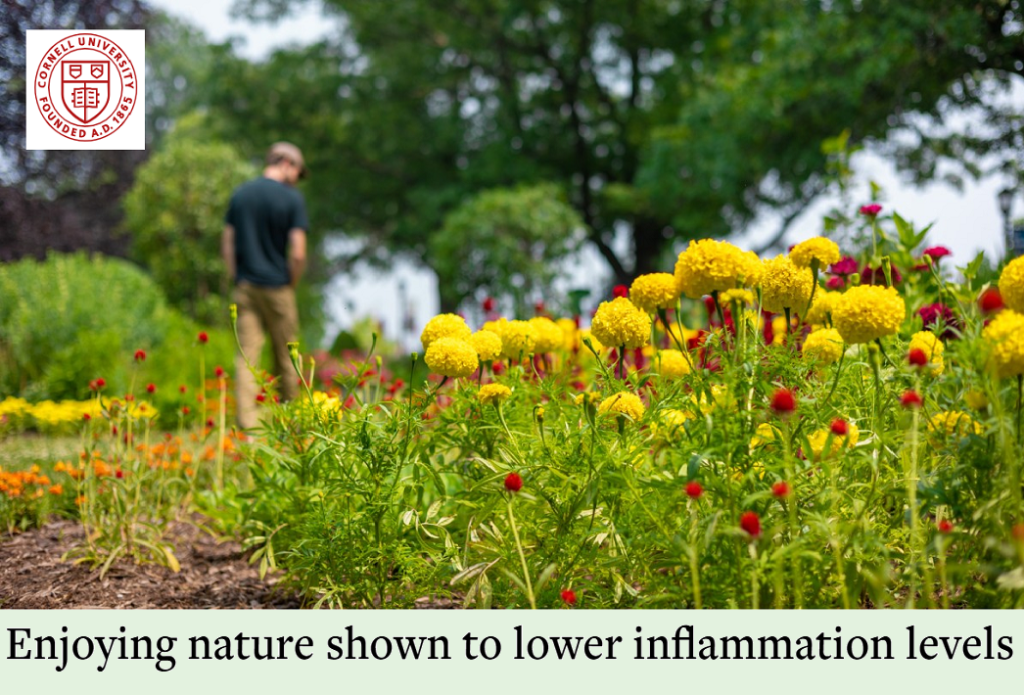 הן השהות בטבע והן החוויה תורמים לבריאות הפיזית&nbsp;והרגשית