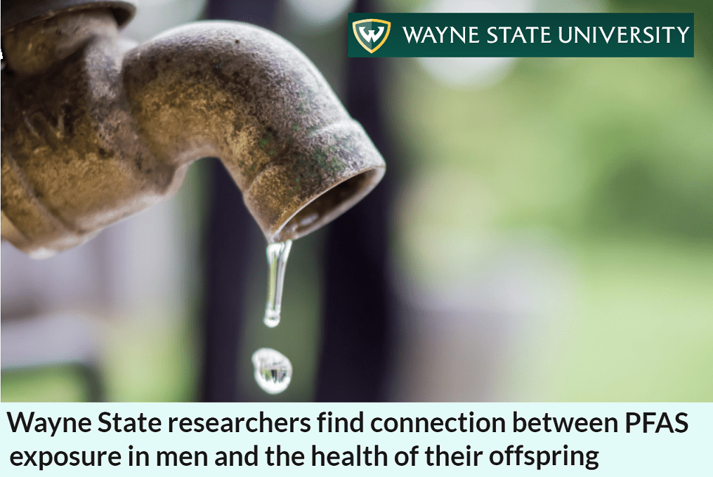 חשיפת אבות ל- PFAS והשפעתם על בריאות&nbsp;הצאצאים