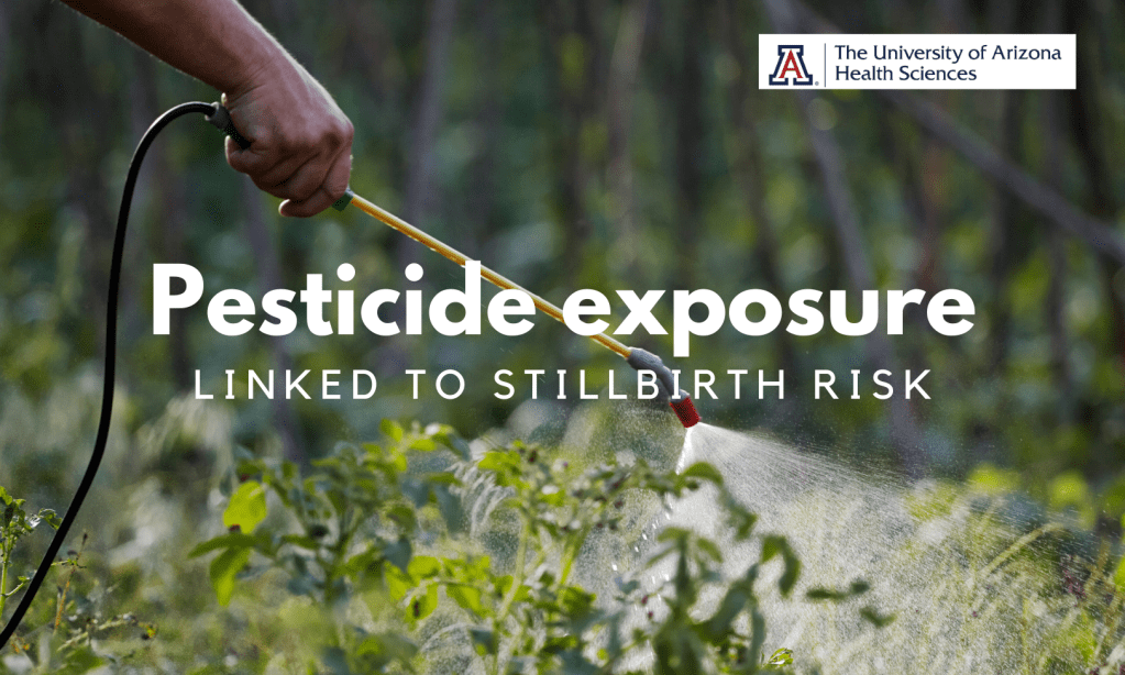 חשיפה לחומרי הדברה קשורה לסיכון ללידת מת והפלות&nbsp;מוקדמות