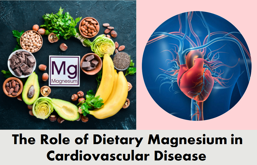 מגנזיום – מחלות לב וכלי&nbsp;דם