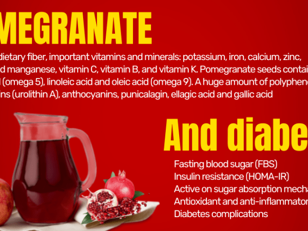 רימונים וסוכרת: כשפרי עתיק פוגש מגיפה&nbsp;מודרנית