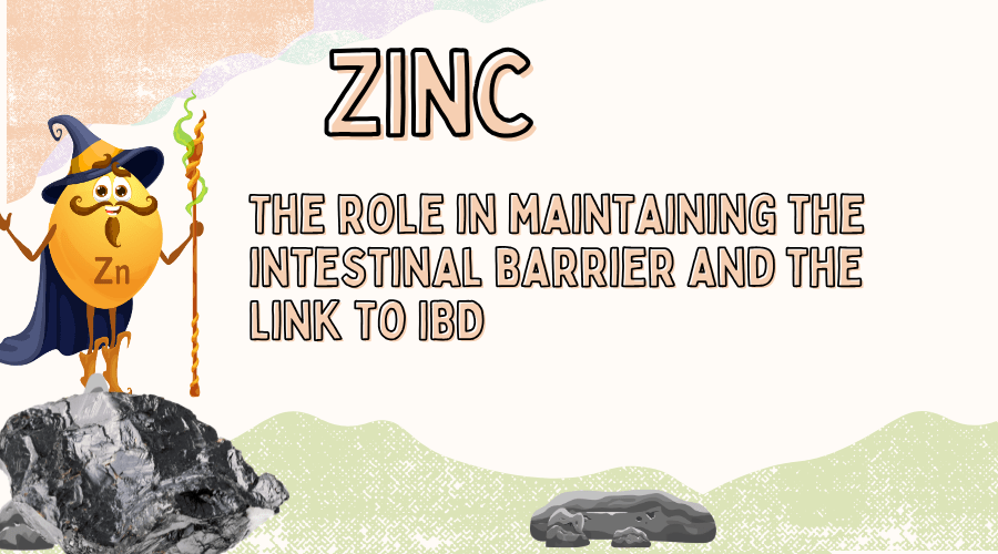 תפקיד האבץ בשמירה על מחסום המעי&nbsp;ובריאותו